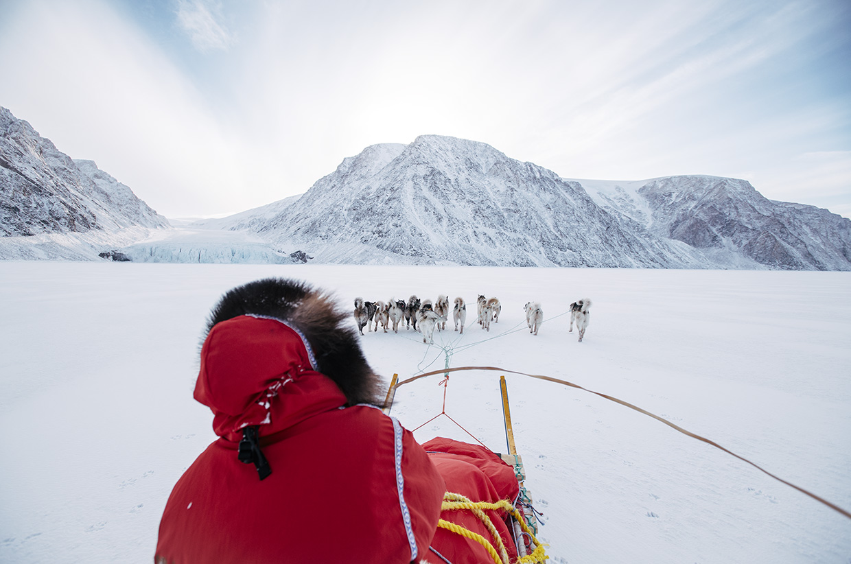 Returning to the Ice