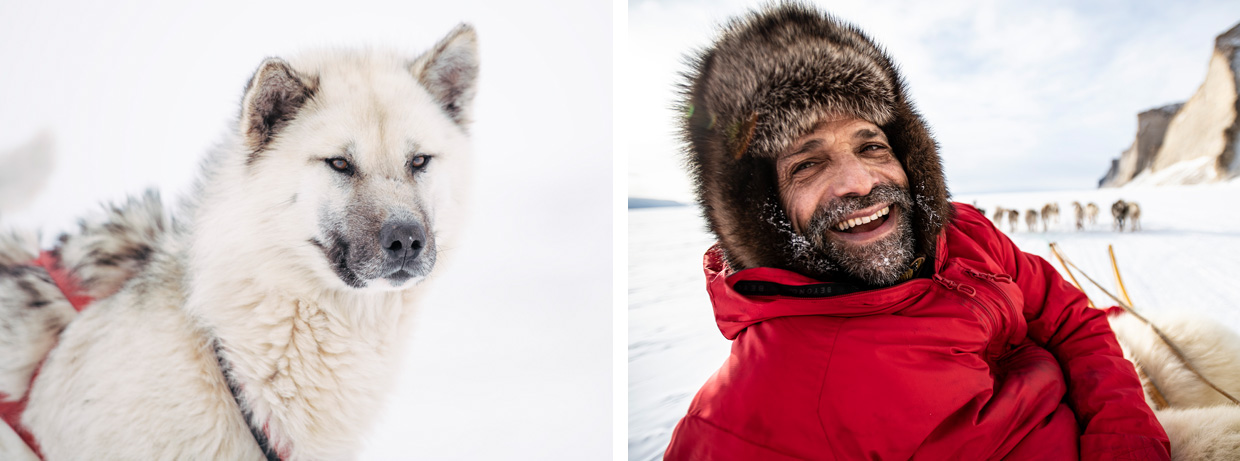 Returning to the Ice