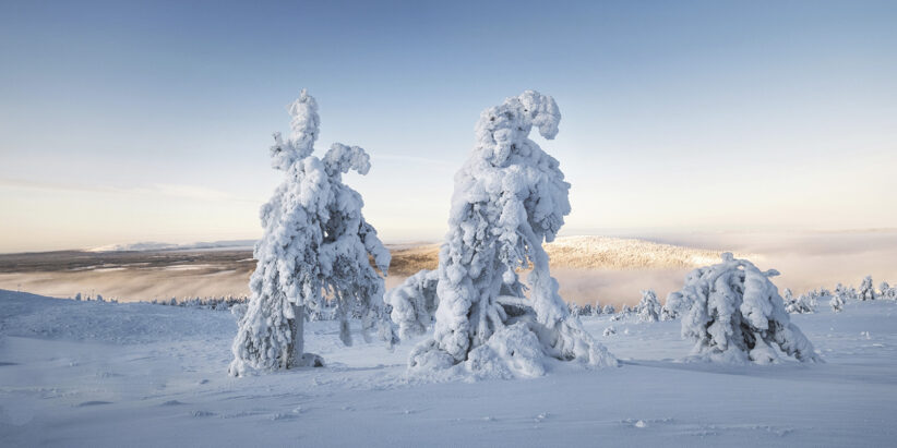 Myths of the North