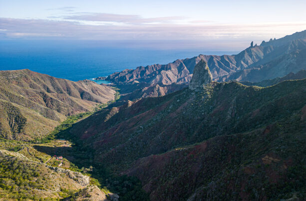 Nature of St Helena