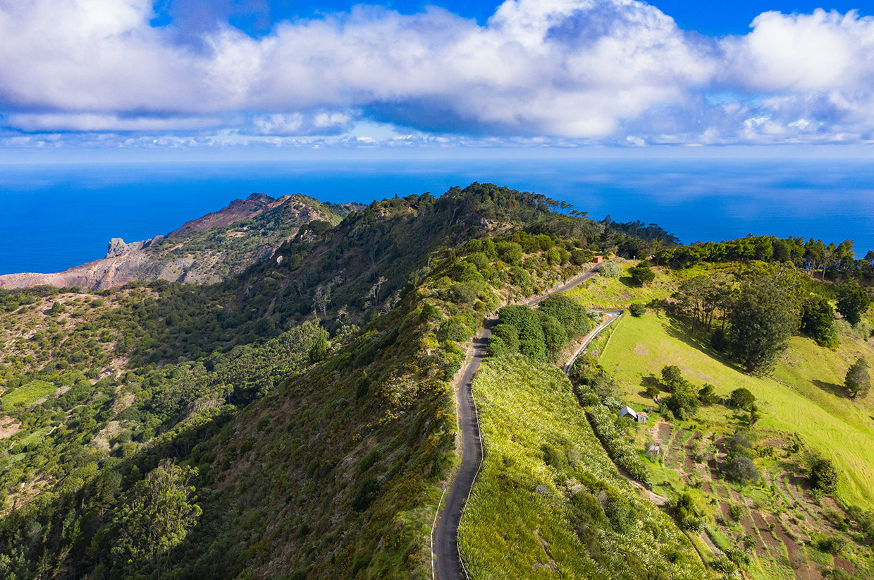 Nature of St Helena