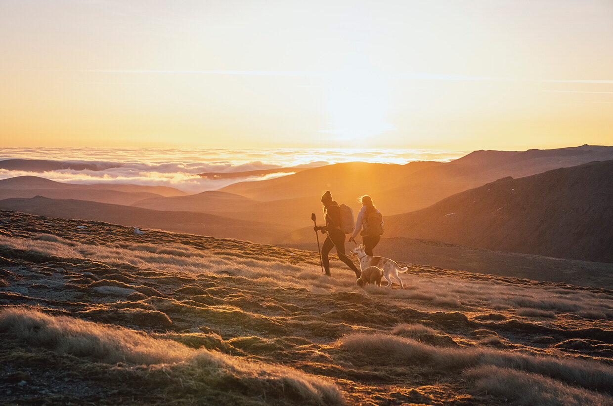 The Mountains are for Sharing