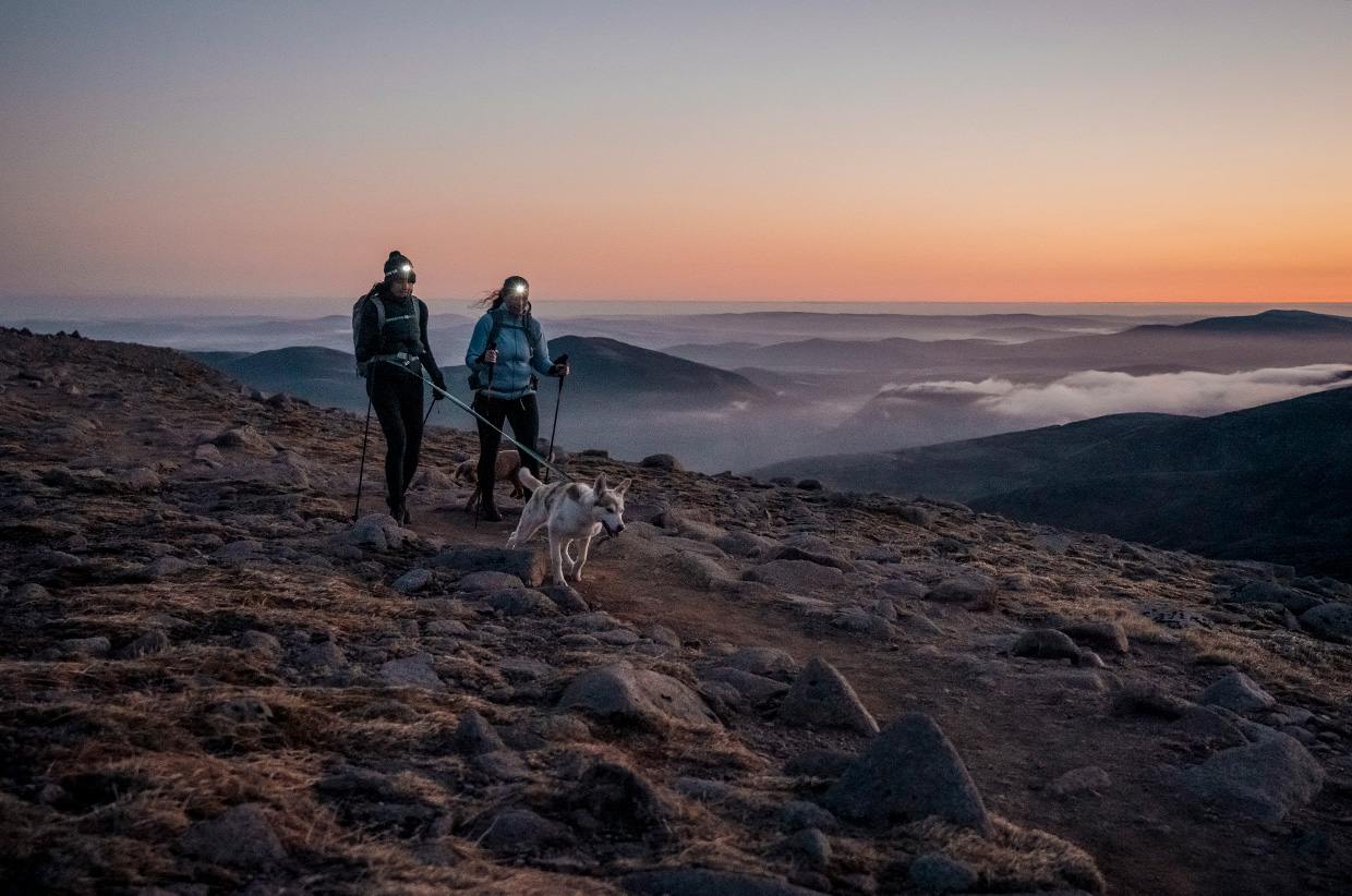 The Mountains are for Sharing