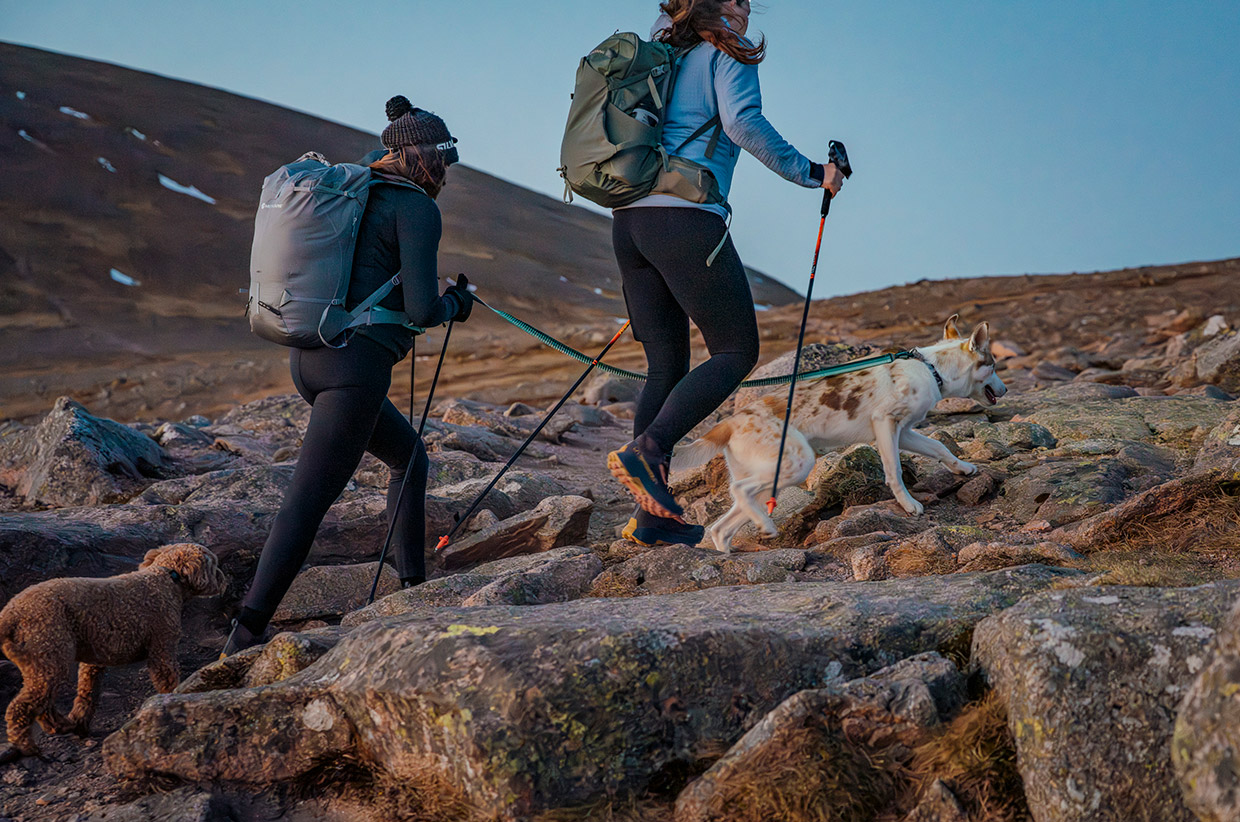 The Mountains are for Sharing