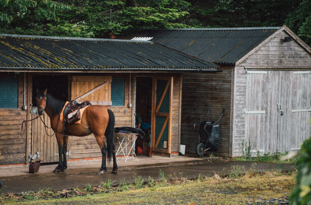 Blundstone Trailblazer: Louis D Hall