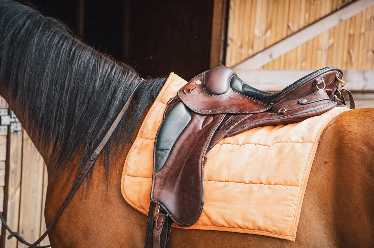 Blundstone Trailblazer: Louis D Hall