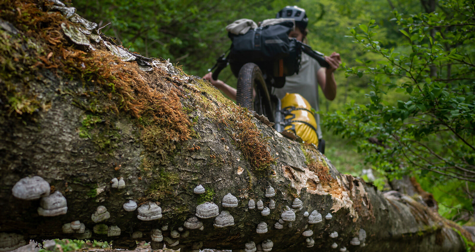 Japan’s Forgotten Roads
