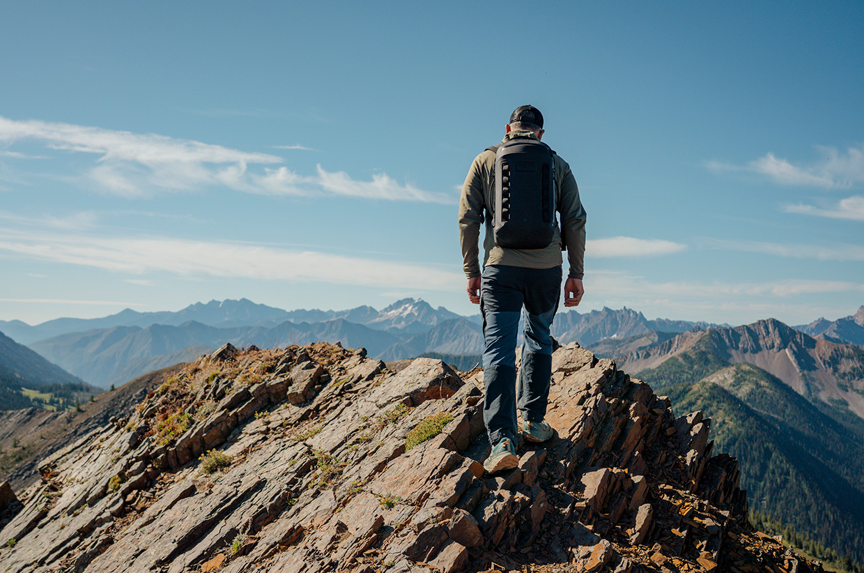 In Search of the Bald Eagle