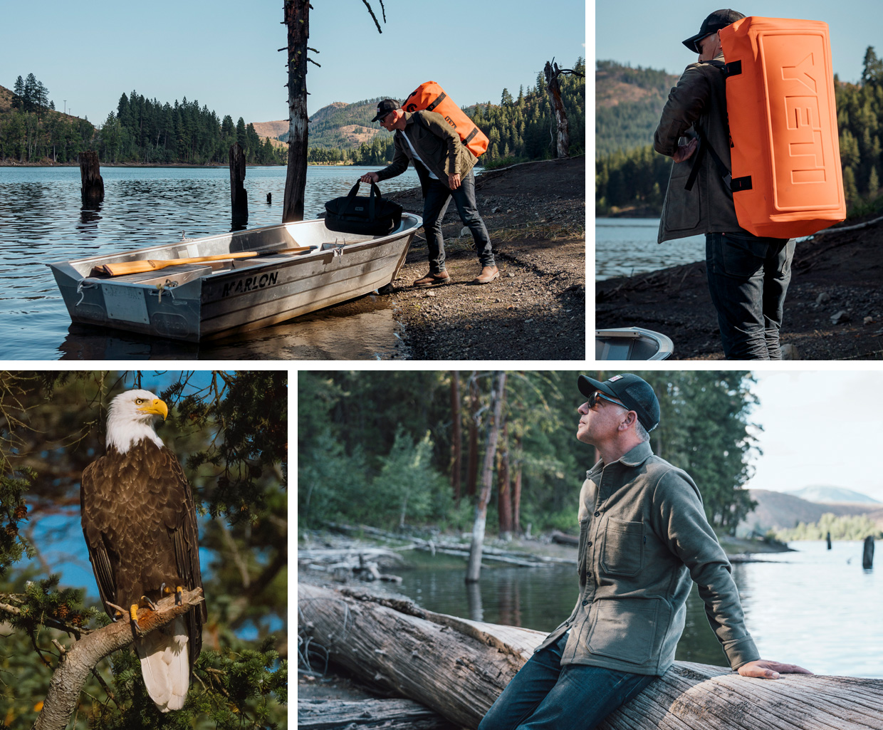 In Search of the Bald Eagle