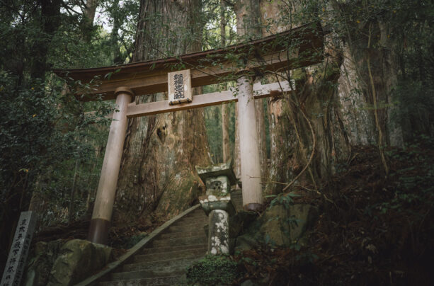 The Pilgrimage