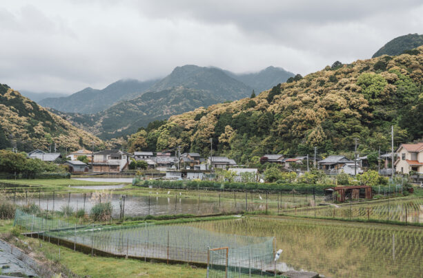 The Kii Peninsula